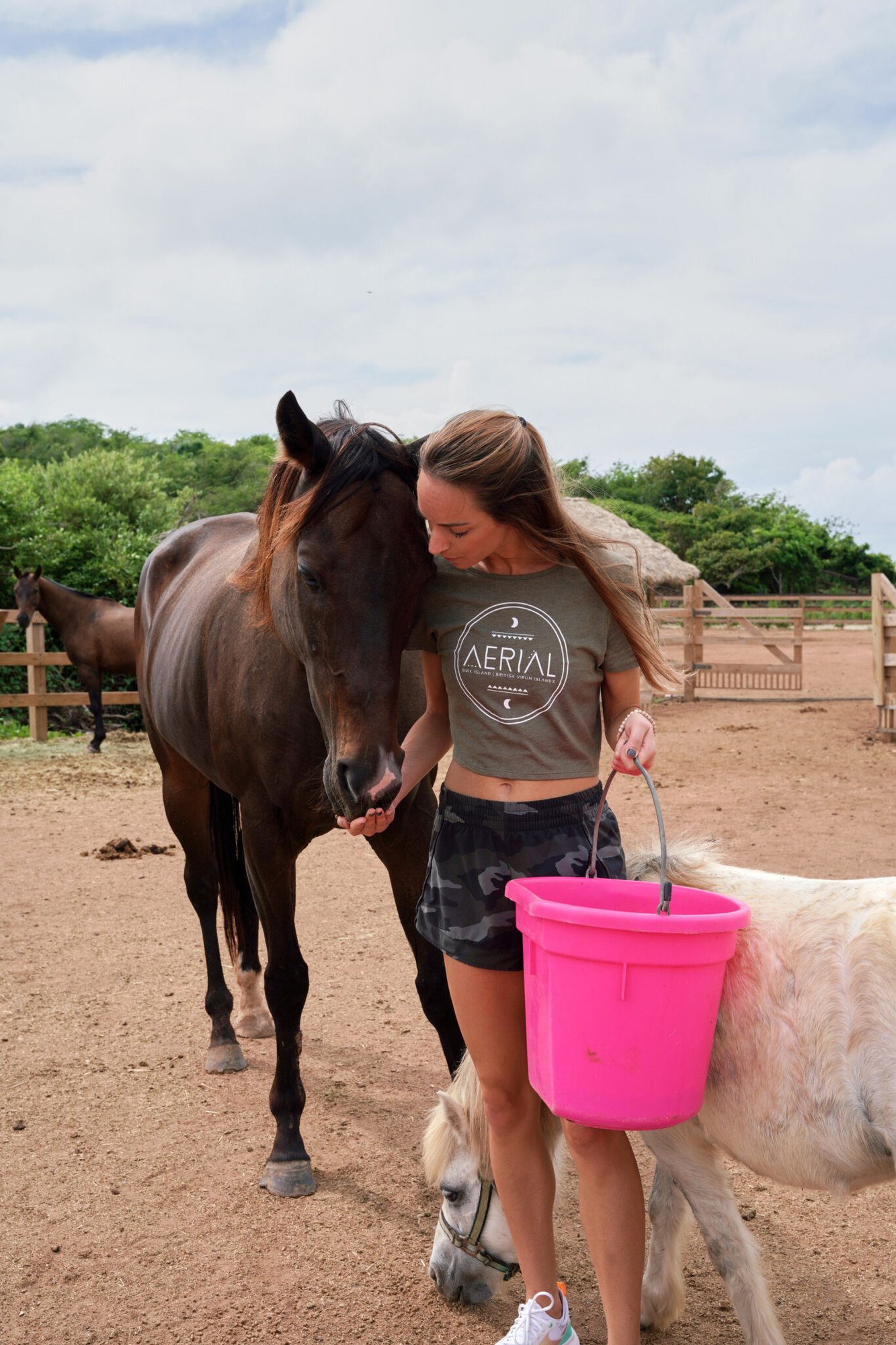 Guest bonding with a rescue horse at Redemption Ranch, The Aerial BVI