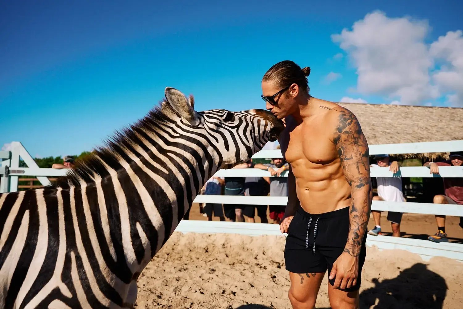 Guest close with a zebra at Redemption Ranch, The Aerial, BVI