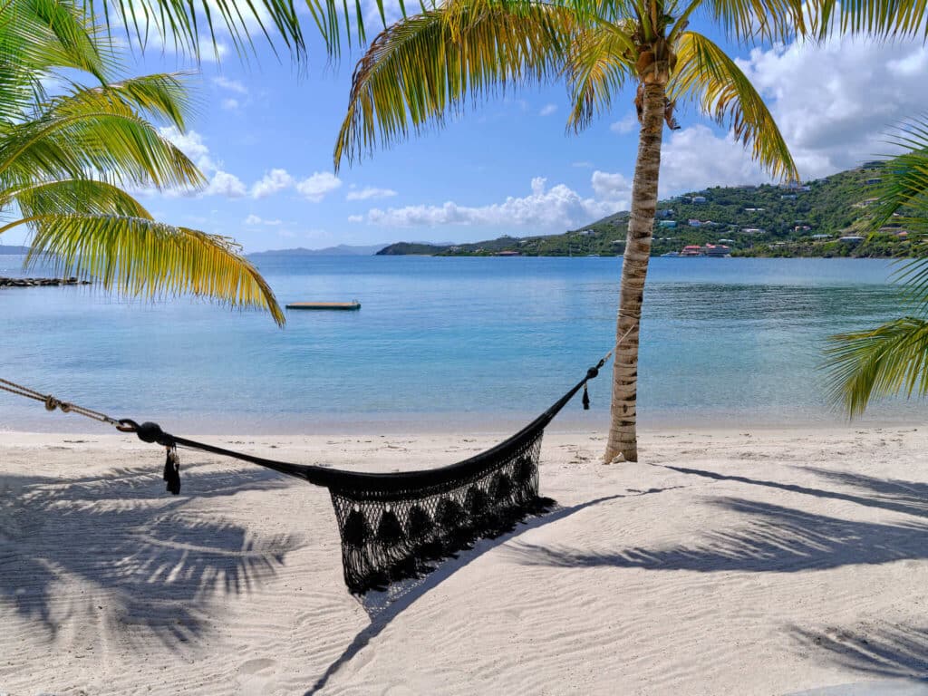Black hammock between palm trees on a white sand beach overlooking calm blue water.