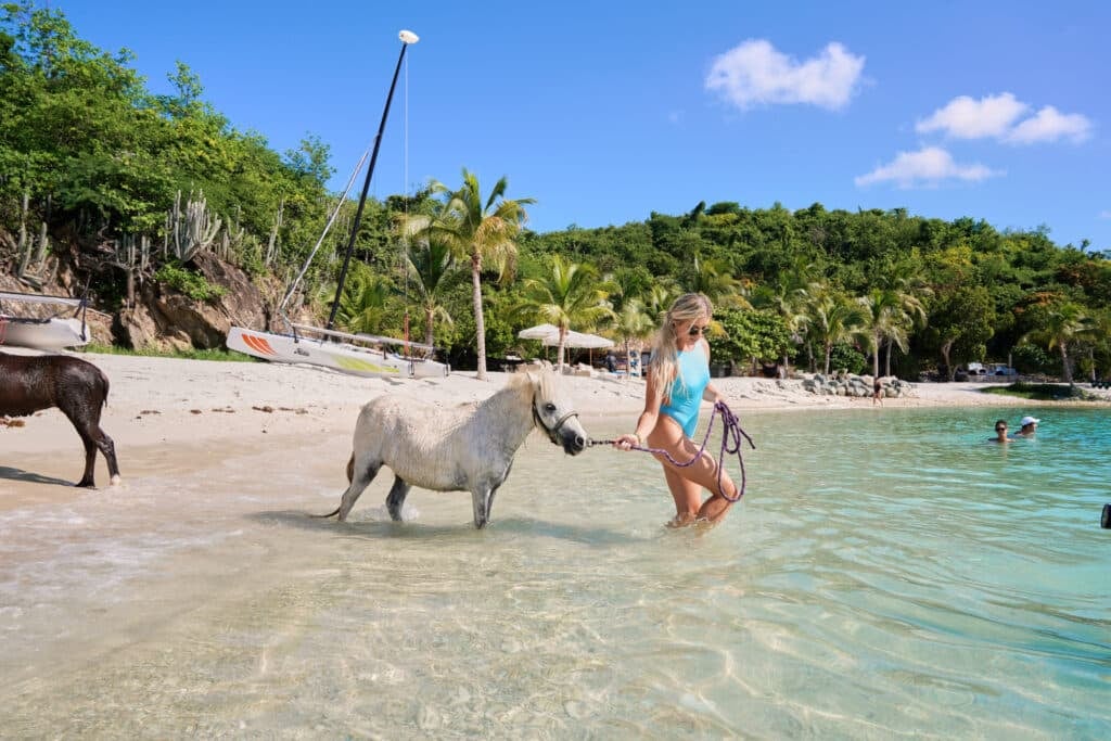 Equine-Assisted Learning and Equine-Assisted Activities