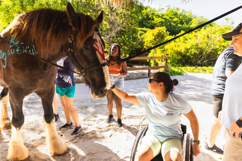 Equine-Assisted Psychotherapy (EAP)
