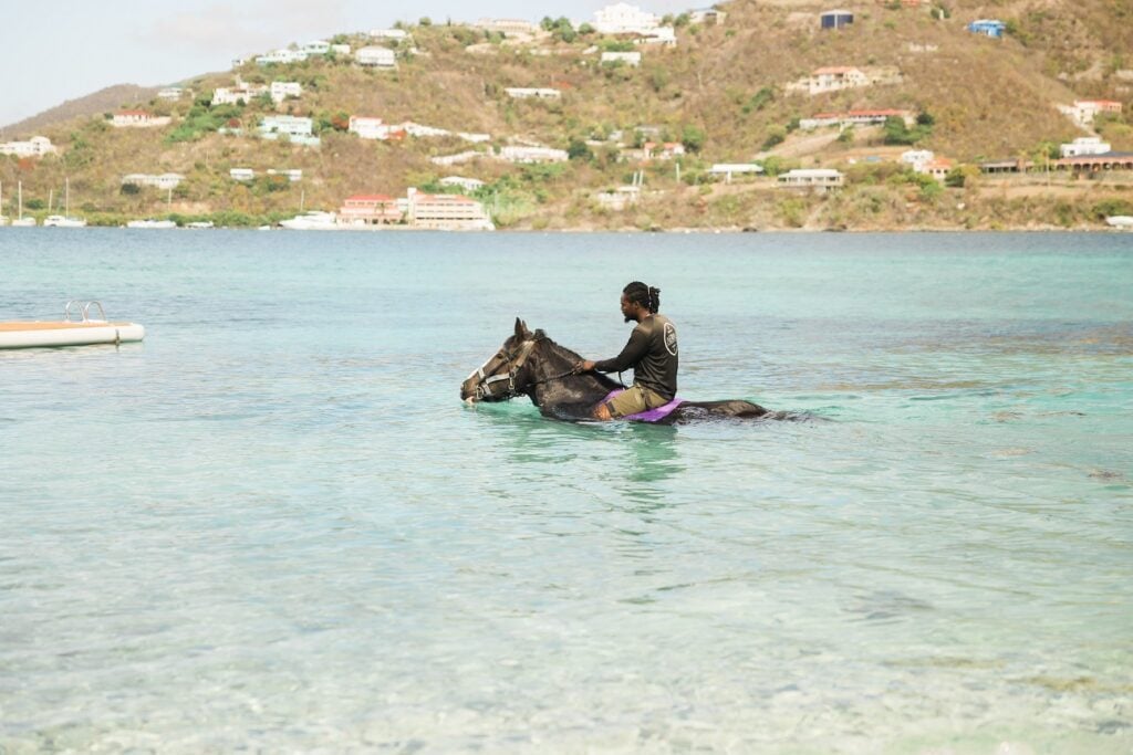 Hippotherapy Improves Muscle Tone and Balance