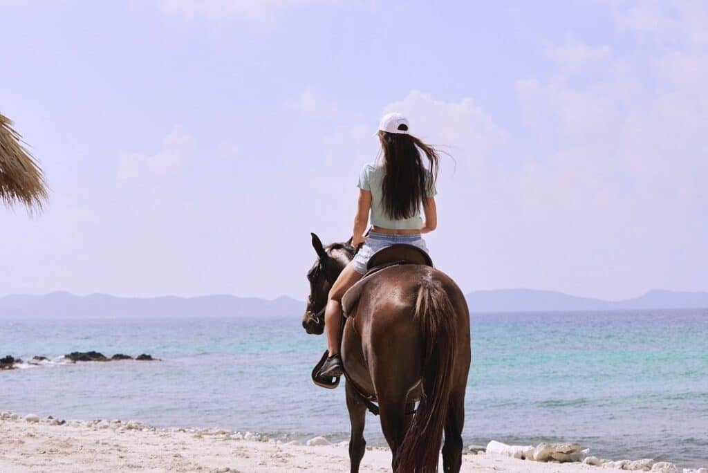 Therapeutic Horseback Riding
