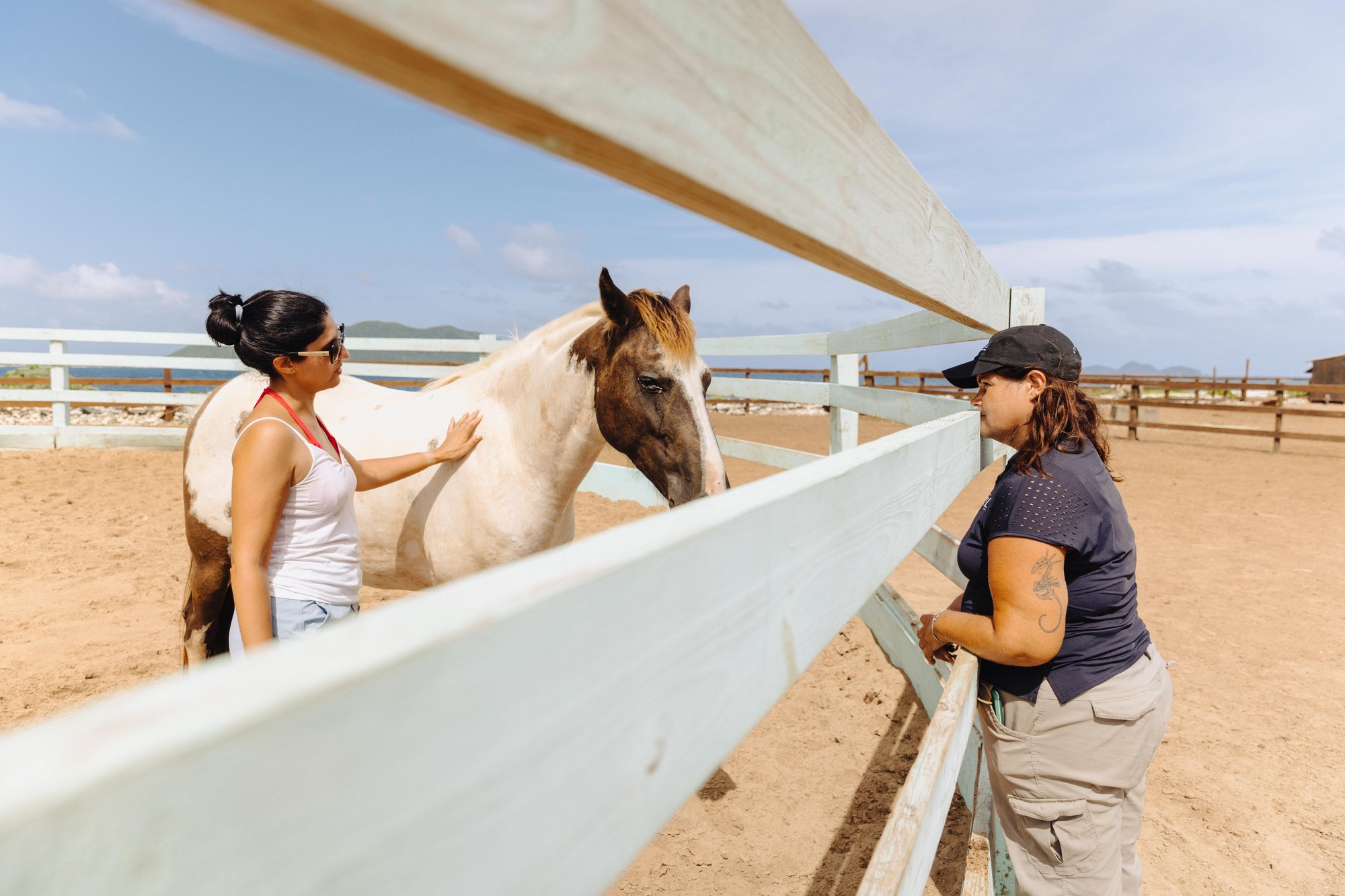 Guests bonding with a rescued horse over the paddock fence at Redemption Ranch, The Aerial BVI
