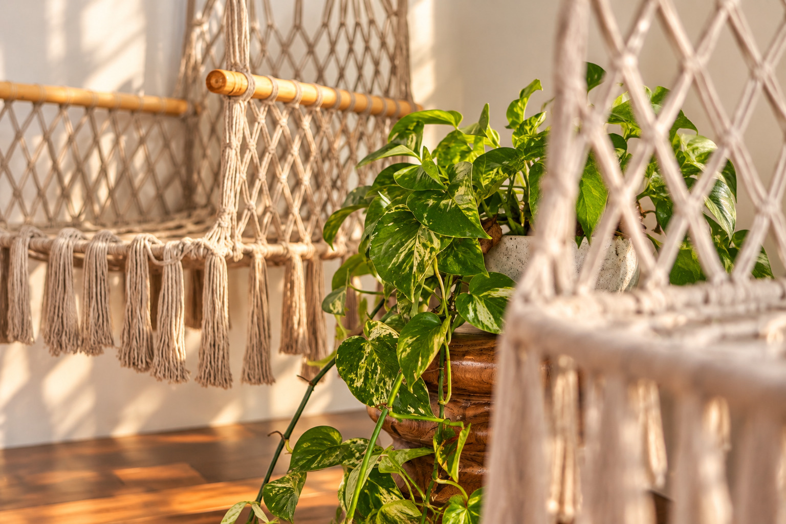 Swing chairs