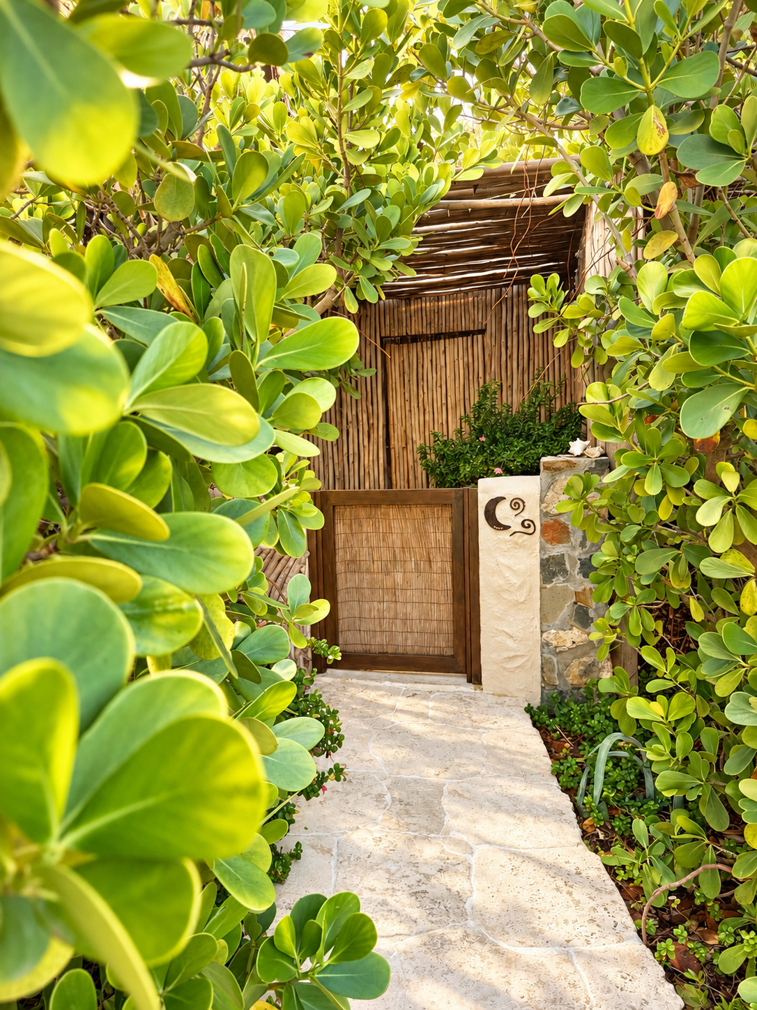 Garden pathway through tropical foliage leading to a wooden gate.