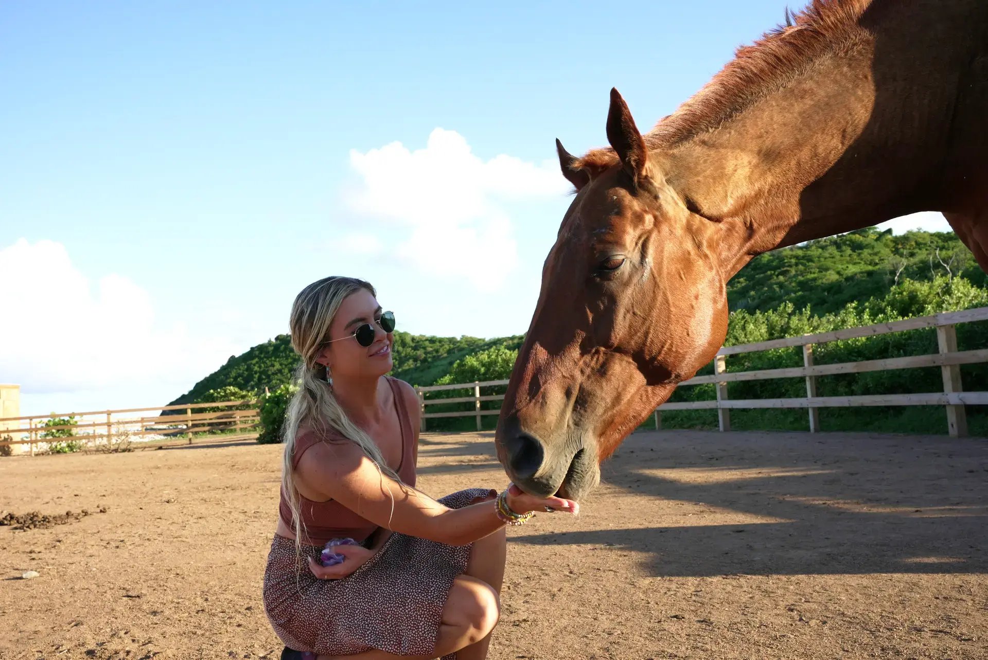 Guest feeding a rescue horse at Redemption Ranch, The Aerial BVI