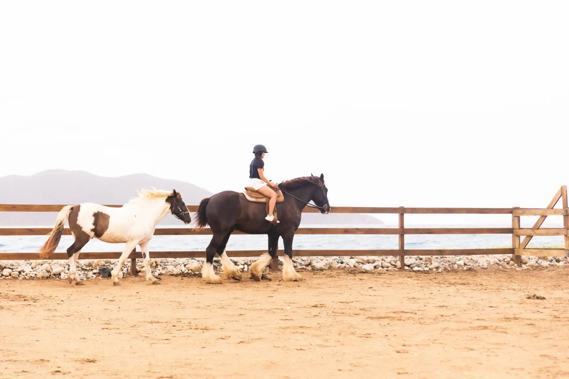 Guest horseback riding across the beach at The Aerial BVI
