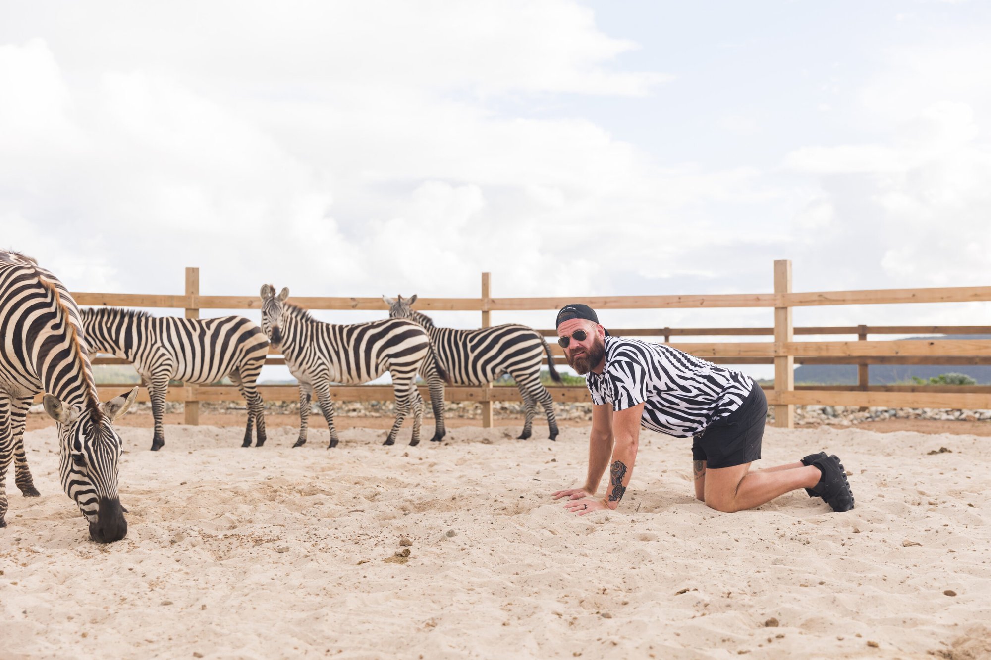 Guest posing with rescue zebras at Redemption Ranch, The Aerial BVI