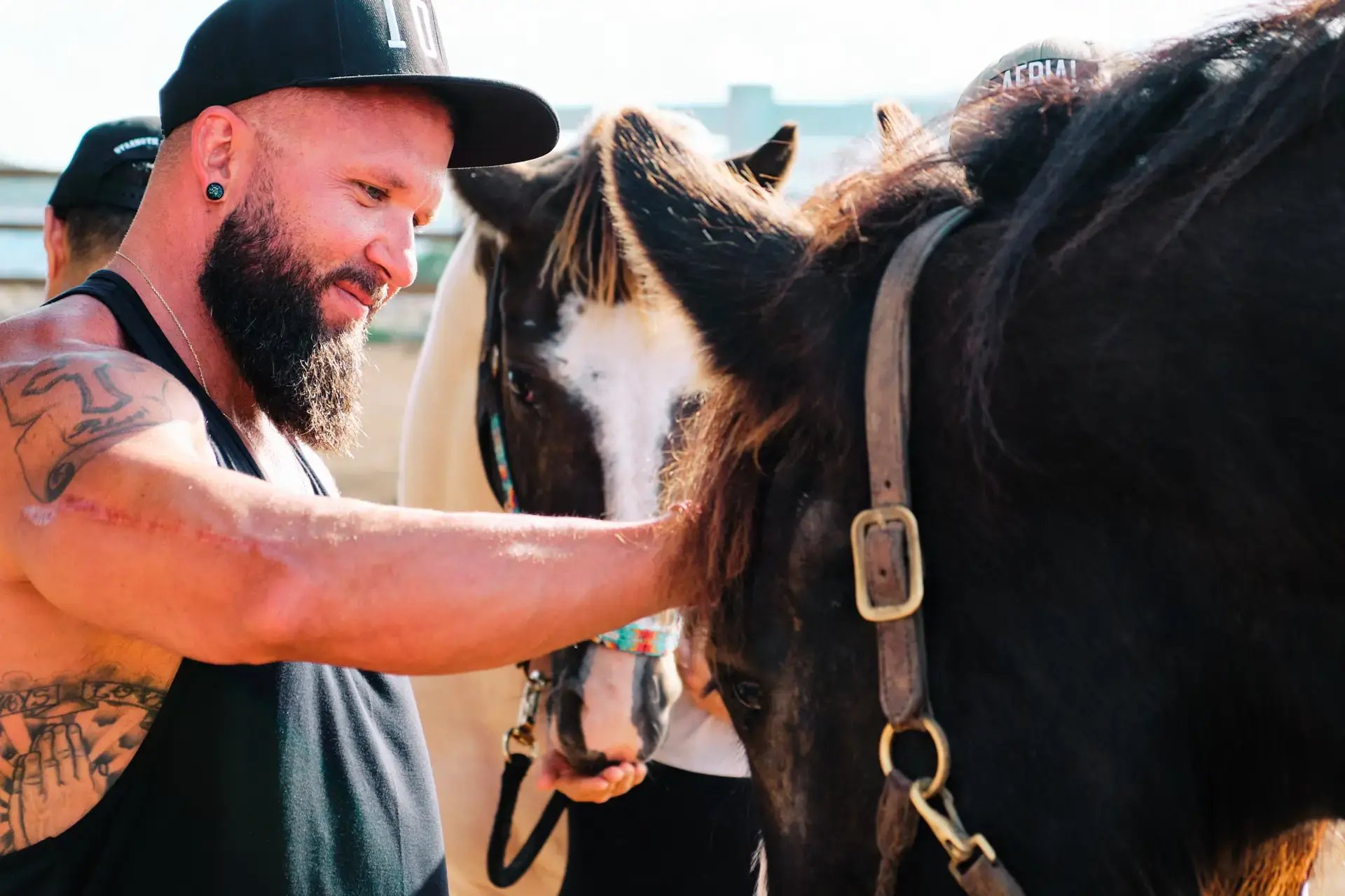 Guest bonding with a rescue horse at Redemption Ranch, The Aerial BVI