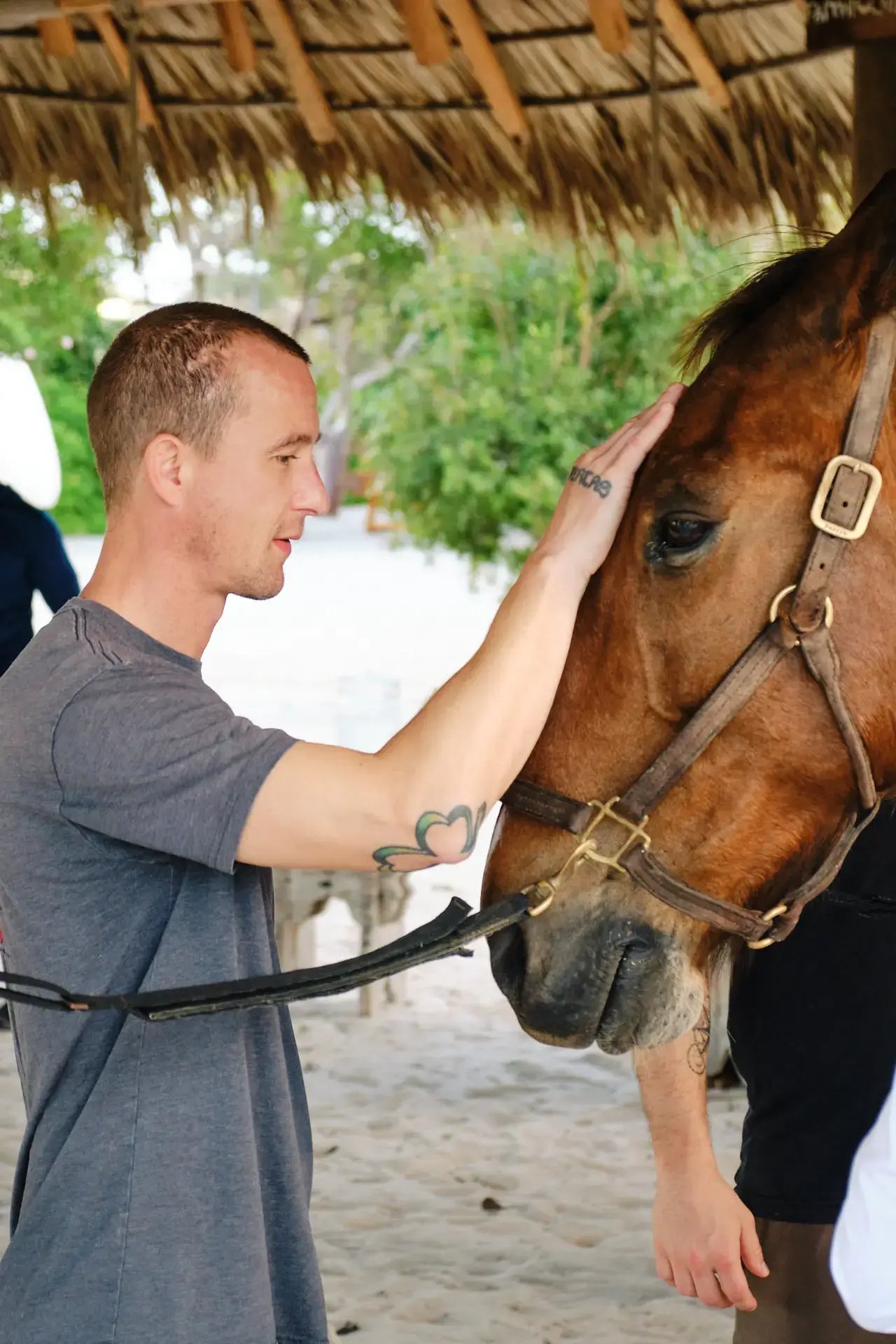 Guest bonding with a rescue horse at Redemption Ranch, The Aerial BVI