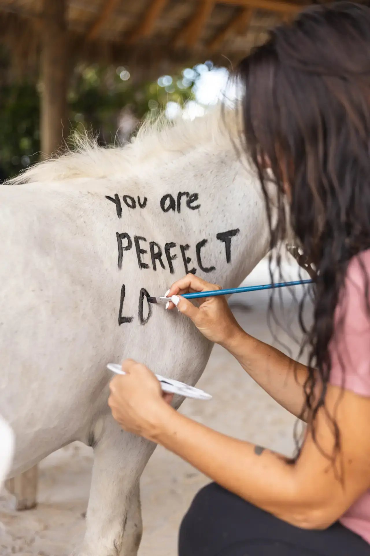 Guest writing an affirmation on a rescue horse at Redemption Ranch, The Aerial BVI