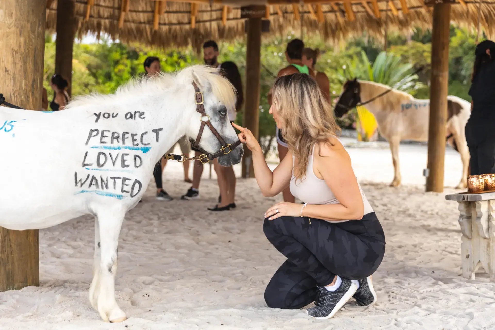 Guest writing an affirmation on a rescue horse at Redemption Ranch, The Aerial BVI