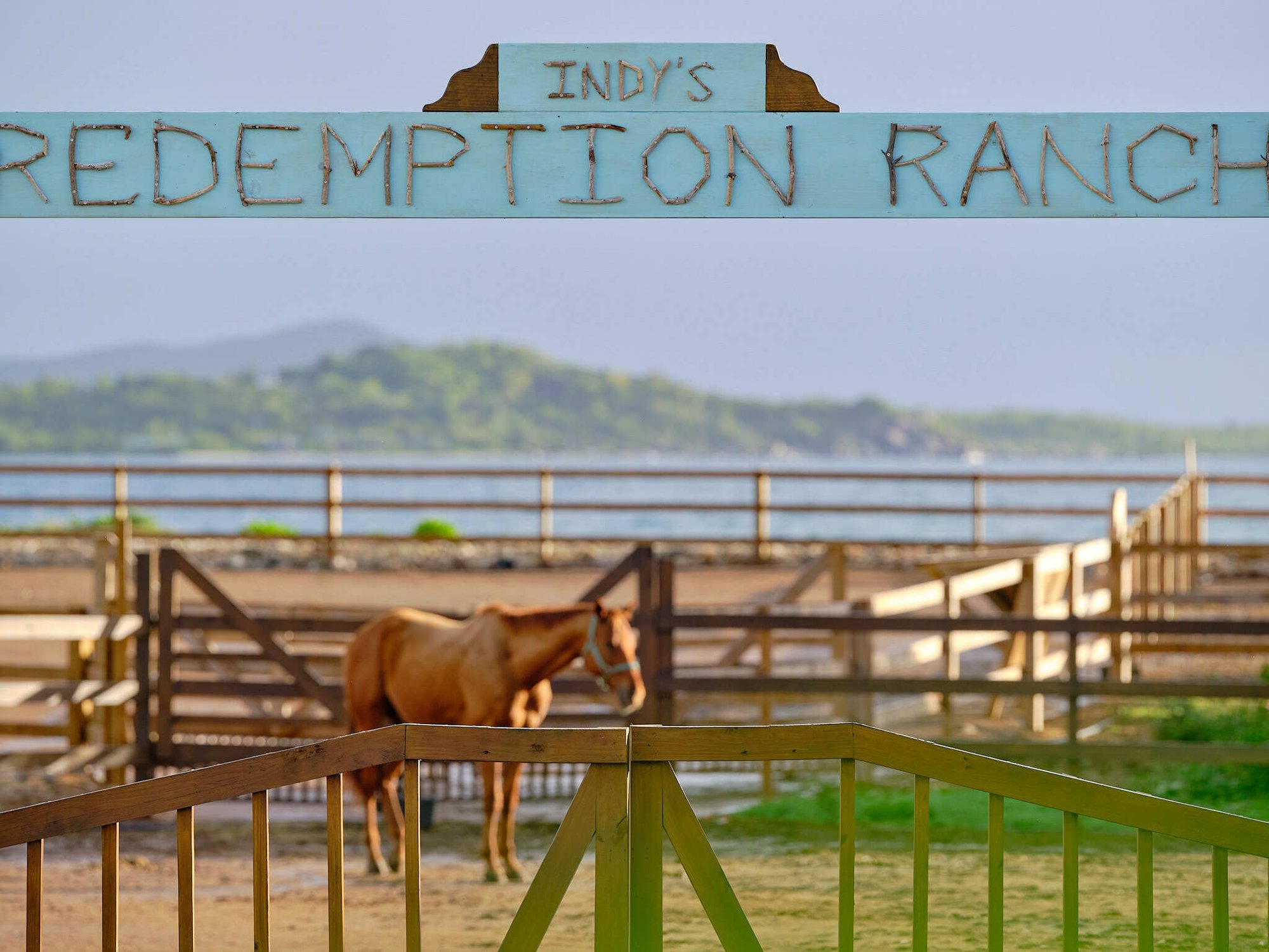 Redemption Ranch entrance sign with horses in the paddock at The Aerial BVI