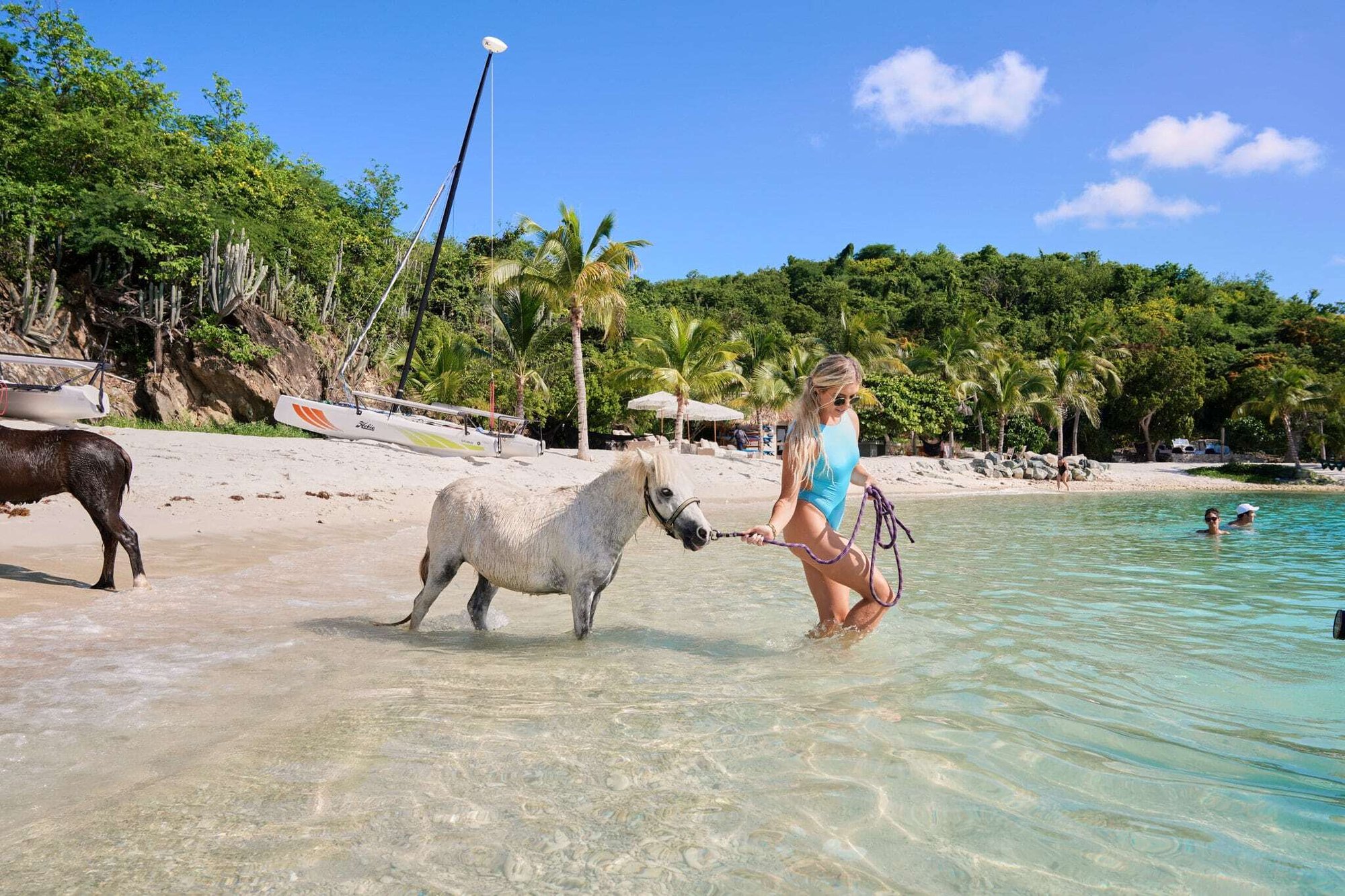 Guest walking with a pony along the beach at The Aerial, BVI.