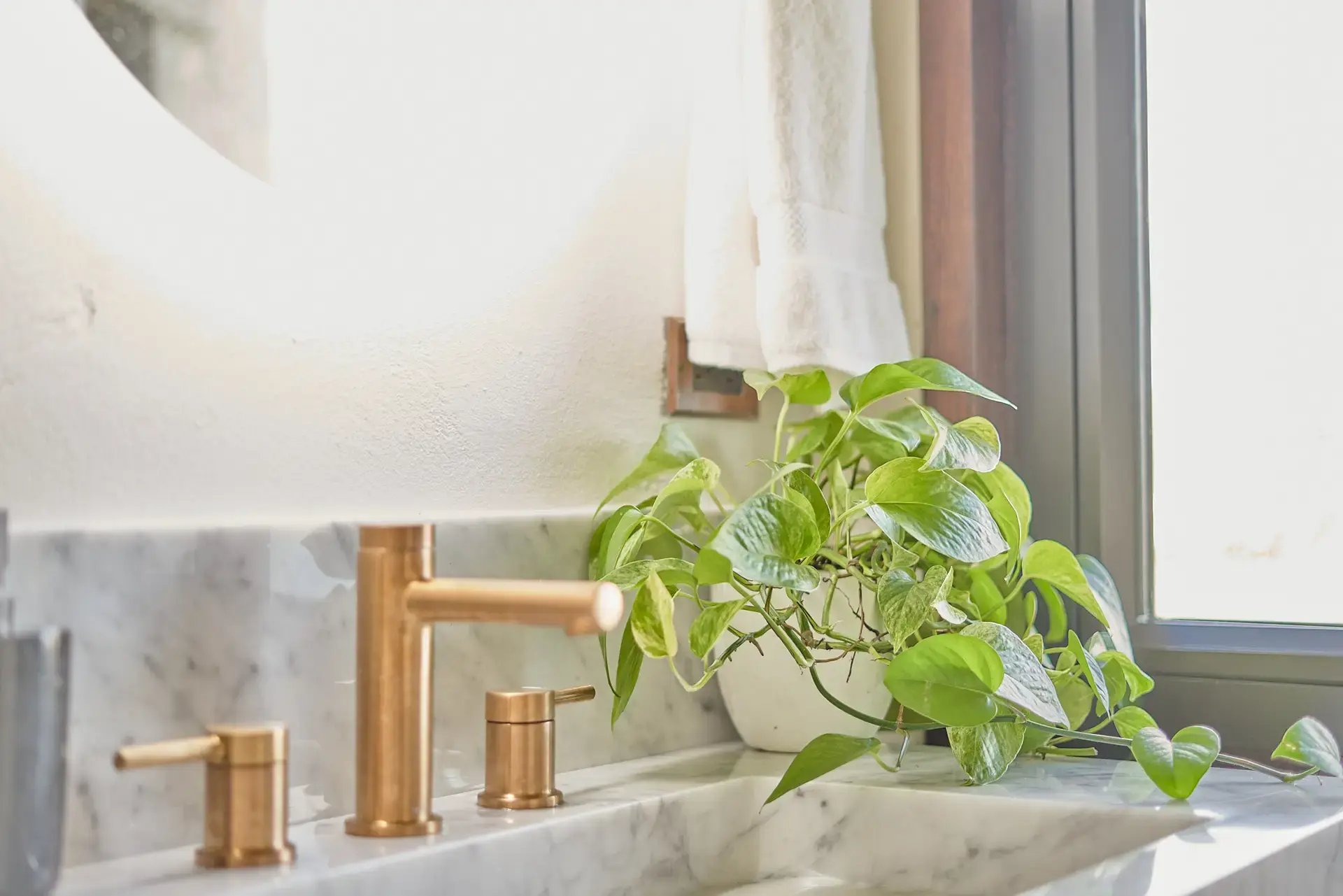 Gold bathroom faucet with potted plant at The Aerial, BVI