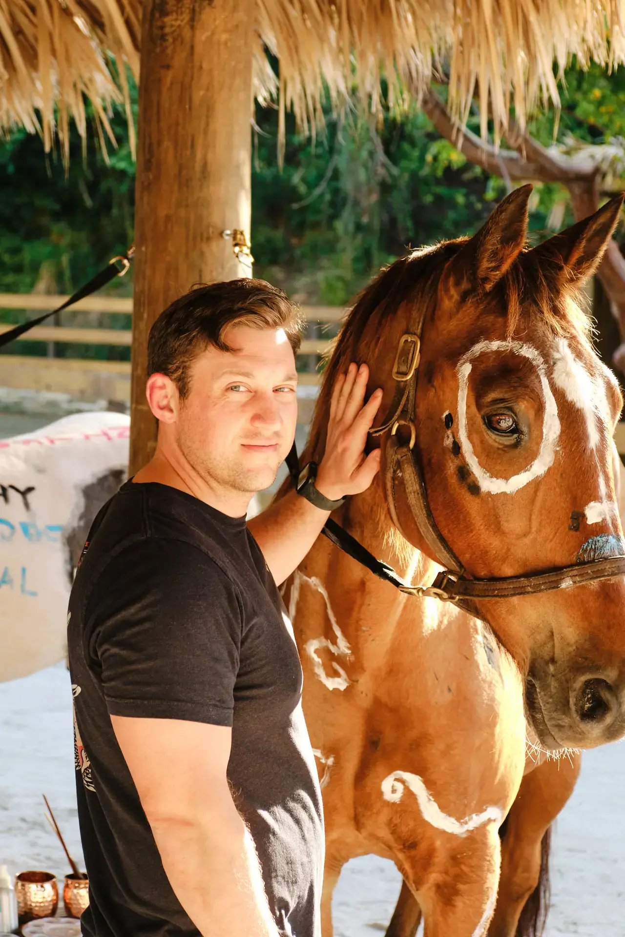 Man petting a horse under a shaded pavilion at Redemption Ranch, The Aerial BVI