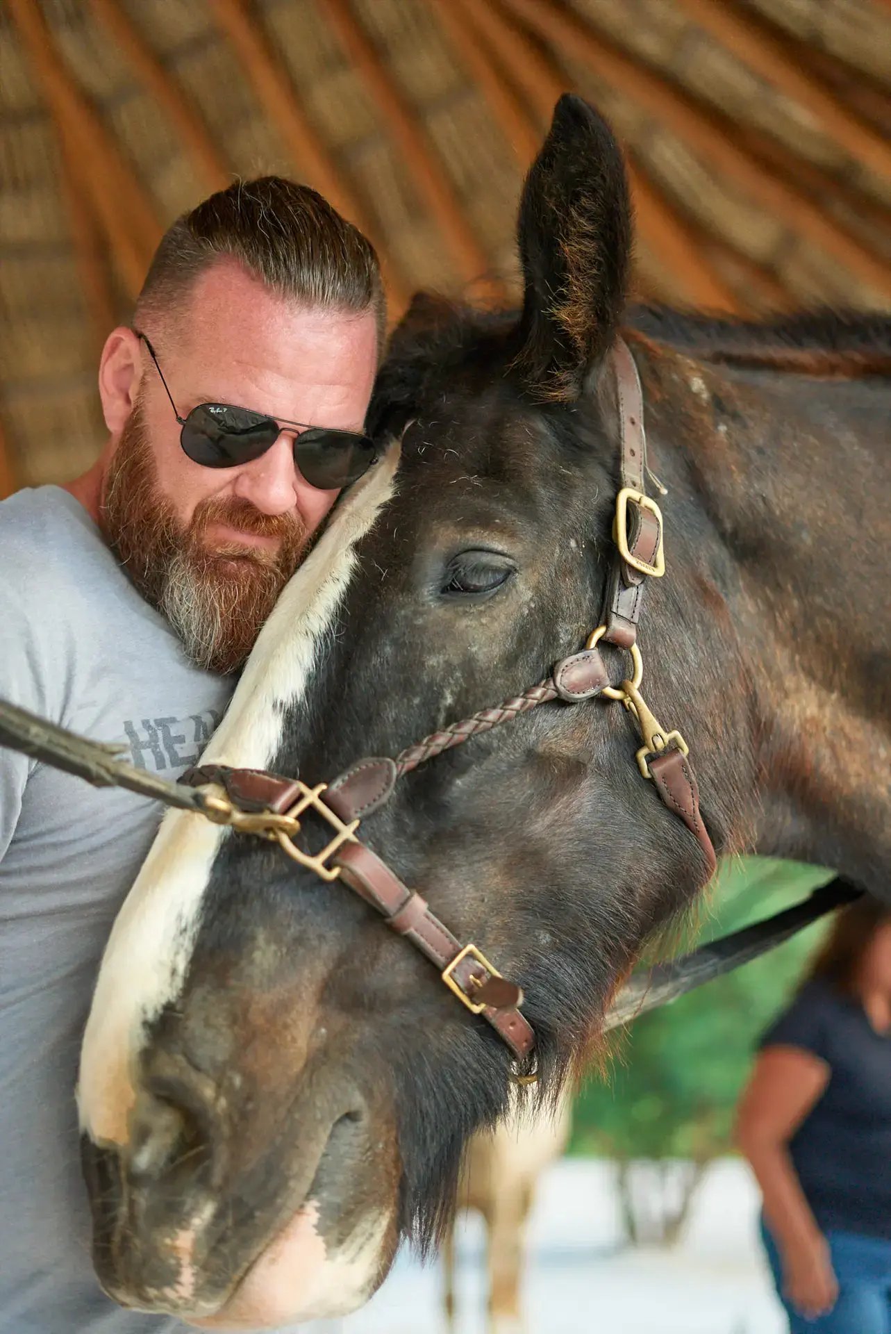 Guest embracing a rescued horse at Redemption Ranch, The Aerial BVI
