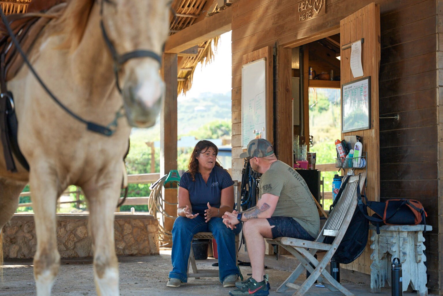 Guests seated with a rescue horse in the ranch pavilion at Redemption Ranch, The Aerial BVI