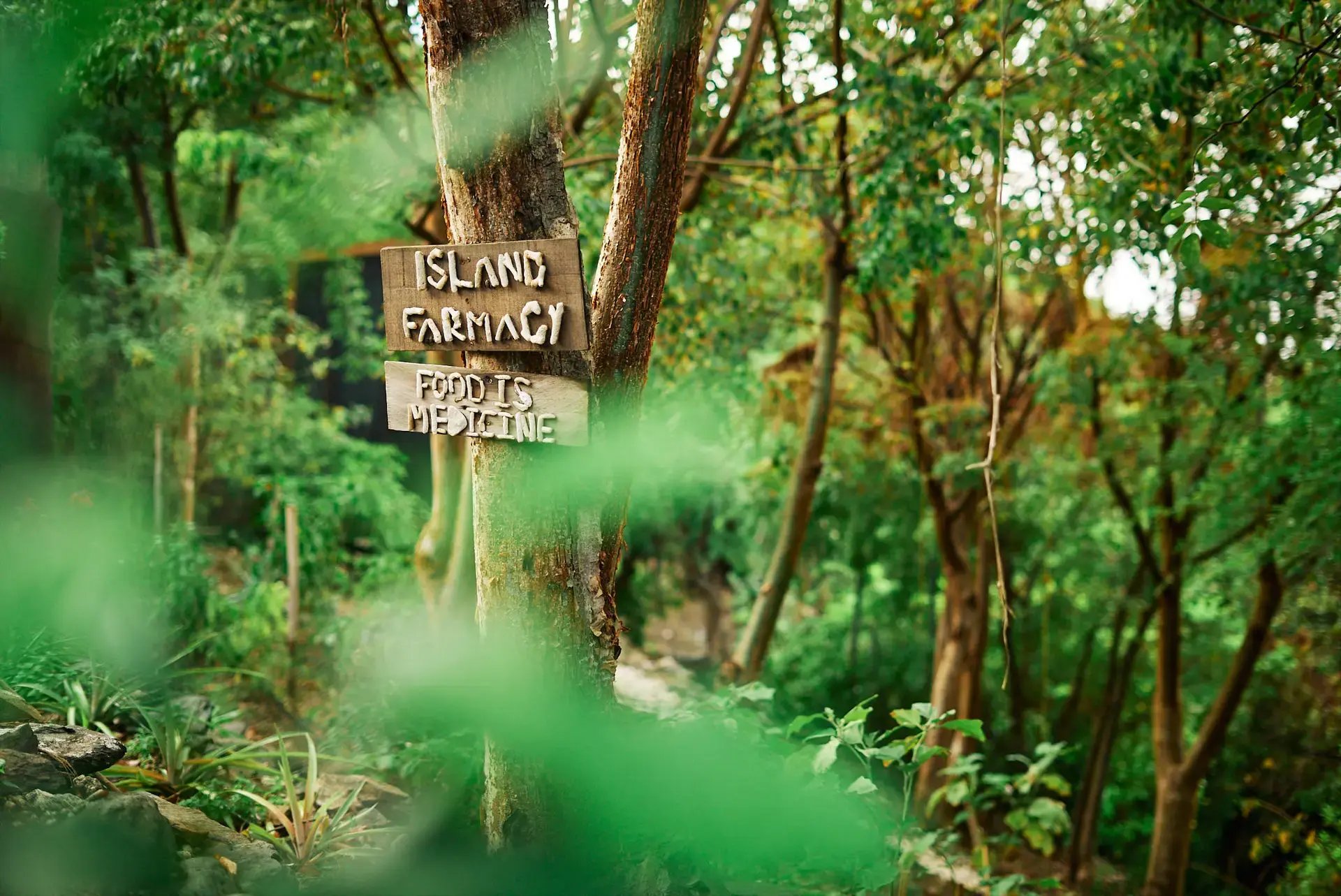 Island Farmacy garden sign reading 'Food is medicine' at The Aerial BVI