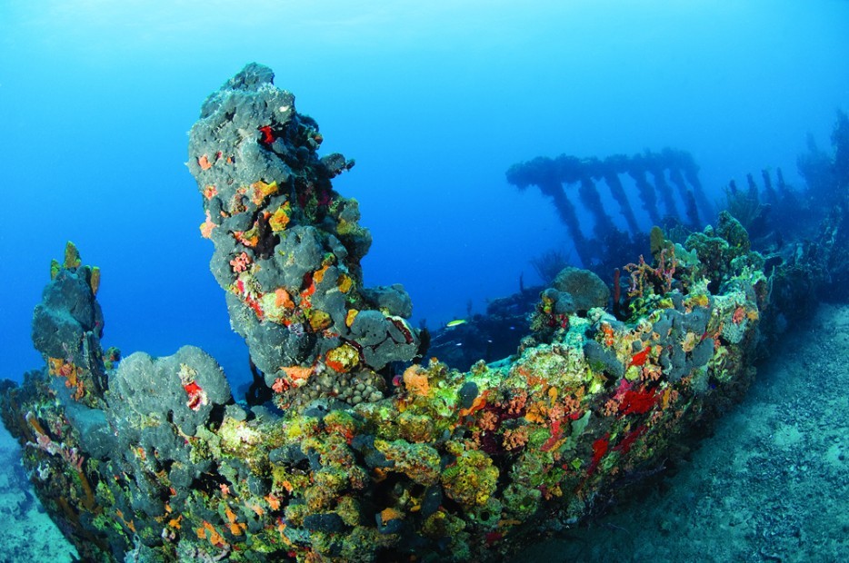Coral-encrusted shipwreck underwater near the British Virgin Islands