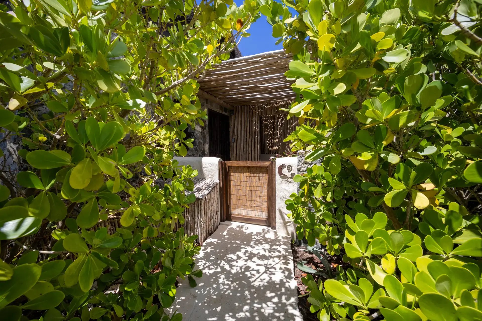 Garden pathway through tropical foliage leading to a wooden gate.