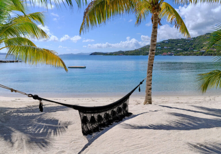 Hammock strung between palm trees on the beach