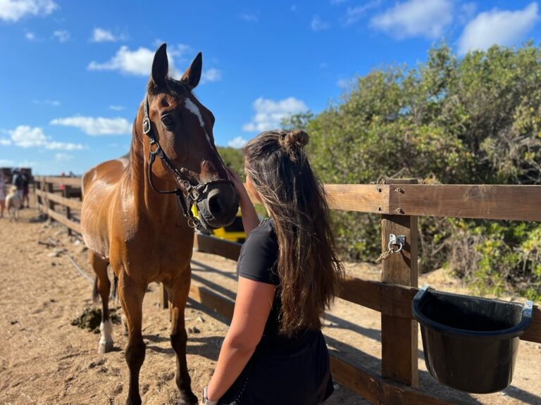 What is Hippotherapy? Top Applications and Where to Find It