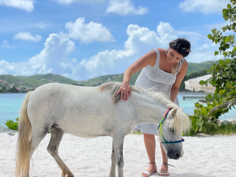 Hippotherapy Reduces Stress