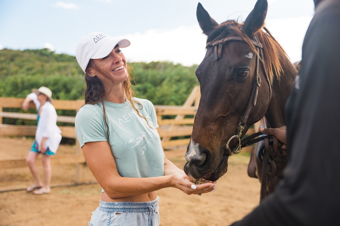 What is Hippotherapy? Top Applications and Where to Find It