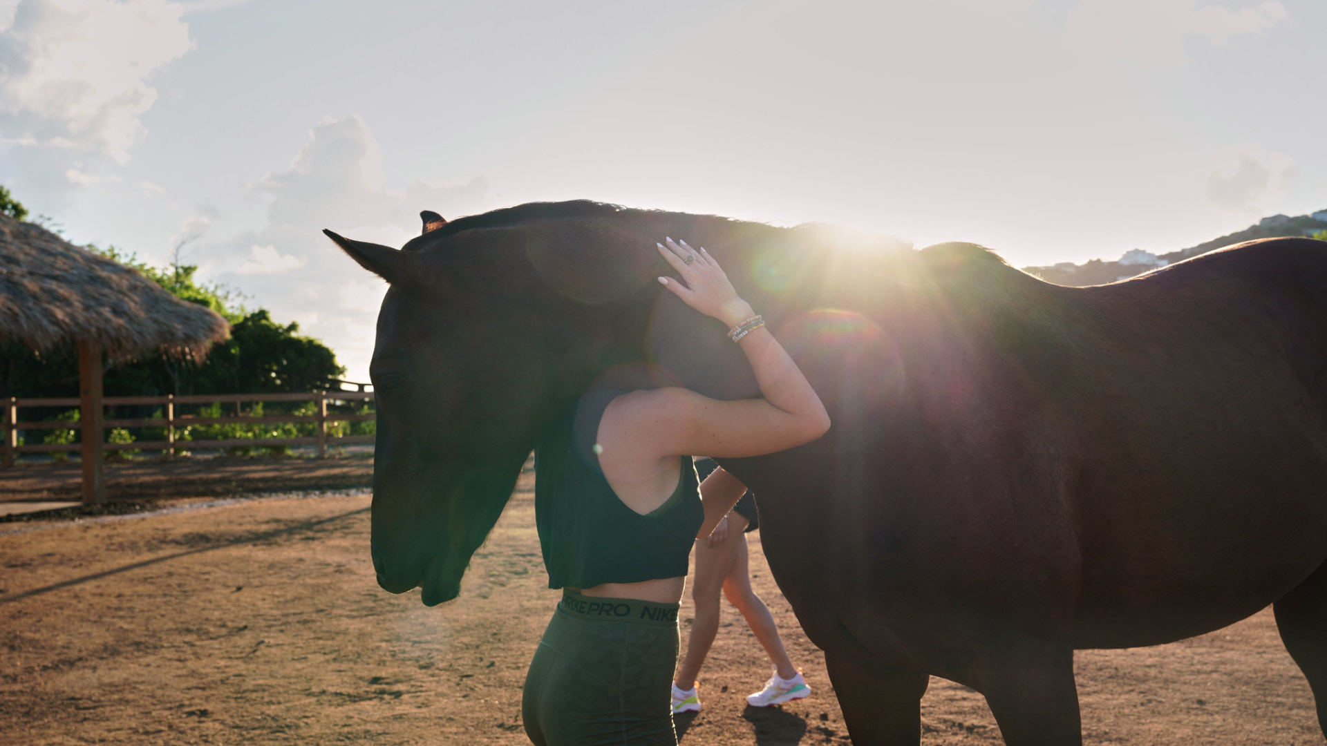 Equine Therapy Retreats
