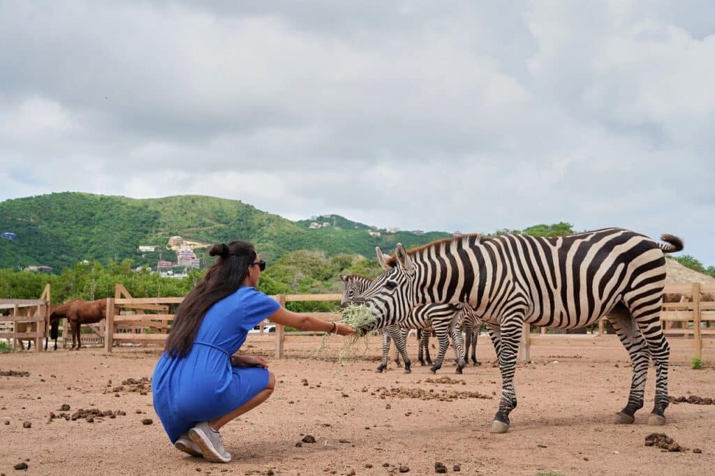 Nature and Wildlife Encounters