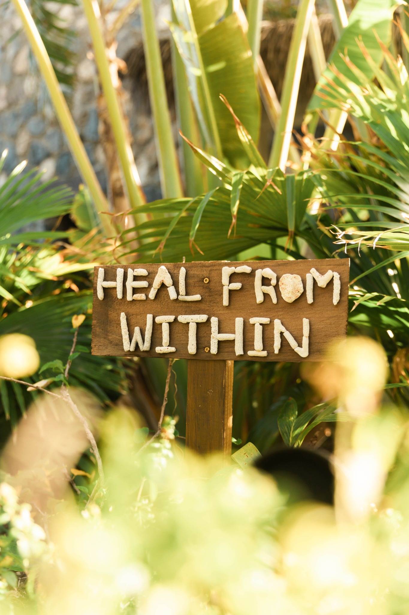“Heal From Within” sign surrounded by tropical greenery at The Aerial, BVI, symbolizing frequency-based healing, cellular alignment, and non-invasive wellness travel.