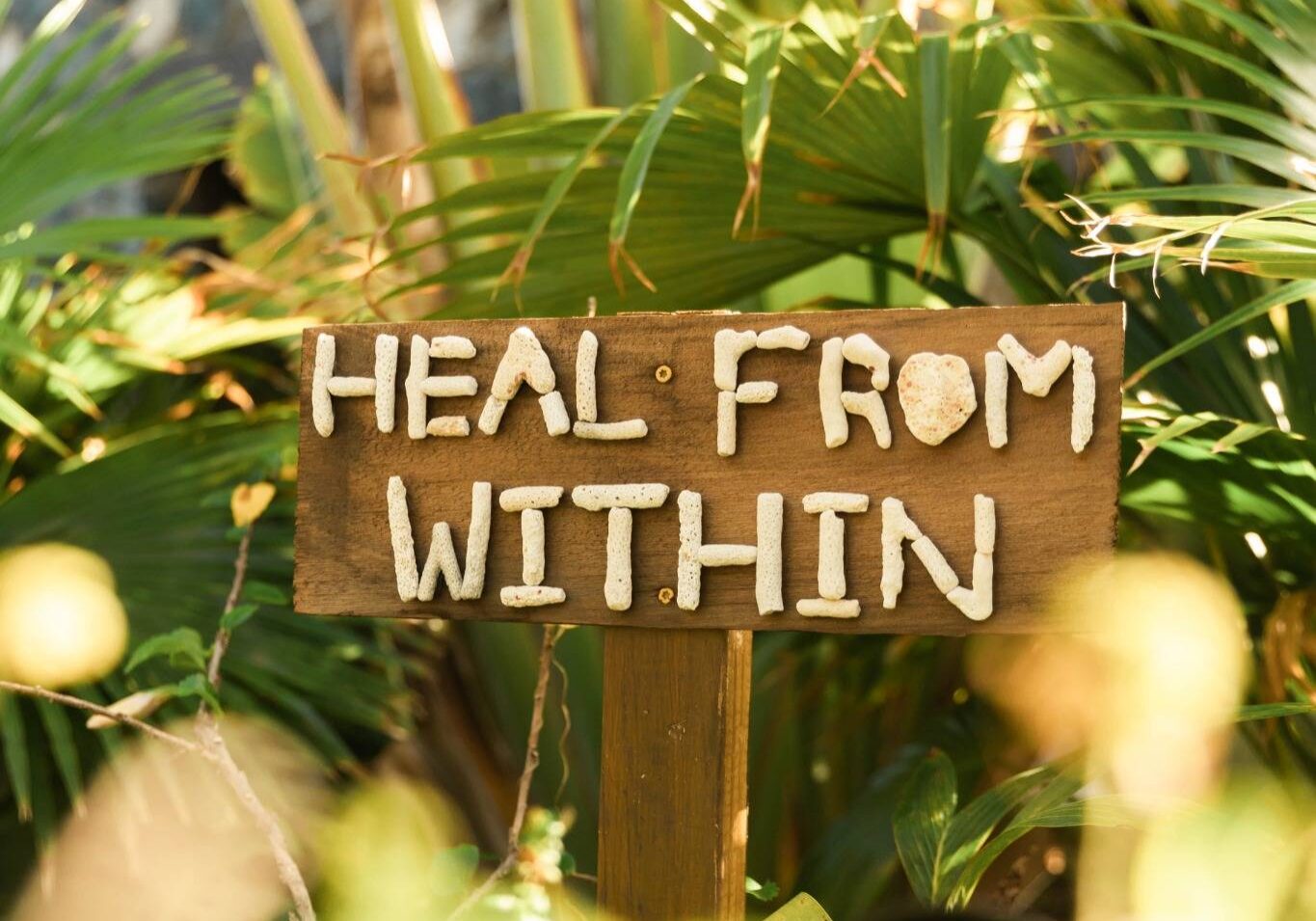 “Heal From Within” sign surrounded by tropical greenery at The Aerial, BVI, symbolizing frequency-based healing, cellular alignment, and non-invasive wellness travel.